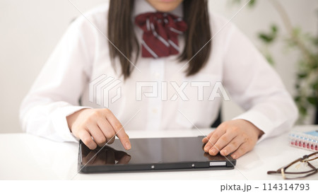 オンライン授業を受ける女子高生 オンライン授業を受ける女子高生 114314793