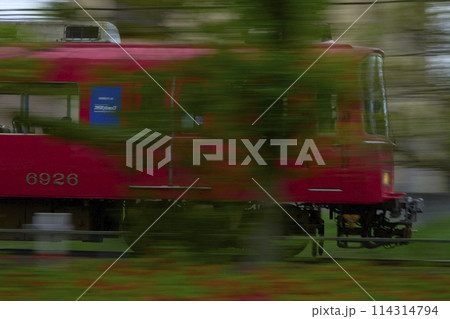 電車 114314794