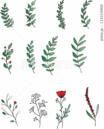 Set of floral elements. Flower red, burgundy, navy blue rose, green leaves. Wedding concept - flowers. Floral poster, invite. Vector arrangements for greeting card or invitation design 114314900
