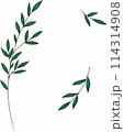 Vector branches and leaves. Hand drawn floral elements. Vintage botanical illustrations 114314908