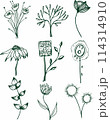 Vector collection of hand drawn plants. Botanical set of sketch flowers and branches 114314910