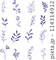 Vector collection of hand drawn plants. Botanical set of sketch flowers and branches 114314912