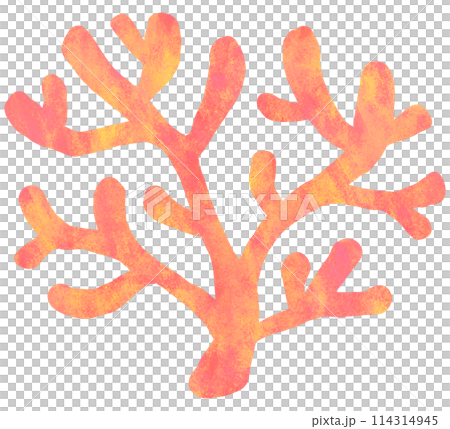 可愛的珊瑚圖 可愛的珊瑚圖 114314945