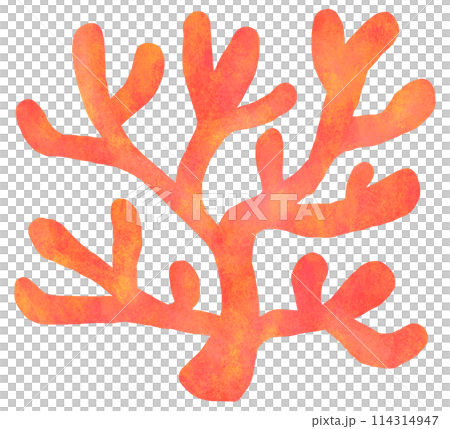 可愛的珊瑚插畫紅色 可愛的珊瑚插畫紅色 114314947