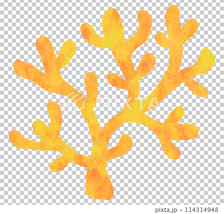 可愛的珊瑚圖黃色 可愛的珊瑚圖黃色 114314948