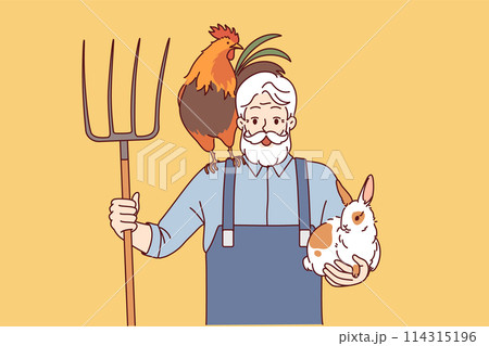 Elderly man farmer engaged in agriculture and livestock raising holds rake and rabbit with rooster 114315196