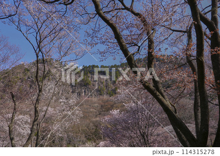 屛風岩公苑 屛風岩公苑 114315278