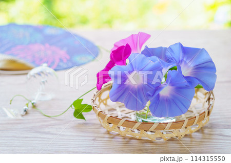 庭から摘んだ朝顔の花のアレンジとうちわと風鈴 114315550
