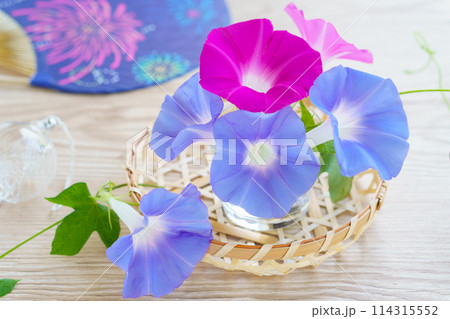 朝顔の花のアレンジとうちわとガラスの風鈴 朝顔の花のアレンジとうちわとガラスの風鈴 114315552