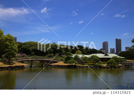 浜離宮恩賜庭園 浜離宮恩賜庭園 114315925
