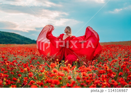Woman poppy field red dress. Happy woman in a long red dress in a beautiful large poppy field. Blond stands with her back posing on a large field of red poppies 114316987
