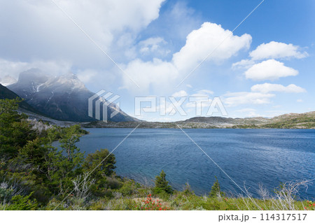Lake Pehoe view, Torres del Paine, Chile Lake Pehoe view, Torres del Paine, Chile 114317517