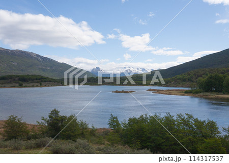 Lapataia bay landscape, Tierra del Fuego, Argentina 114317537
