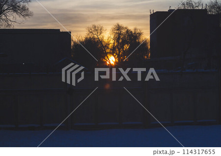 Silhouettes of trees at sunset. Dark tree branches against the bright sun. 114317655