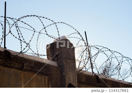 Barbed wire on the prison fence. A closed prison. Security concept. Forbidden territory. 114317661