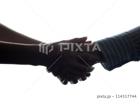Handshake of two women, a business agreement - silhouette Handshake of two women, a business agreement - silhouette 114317744