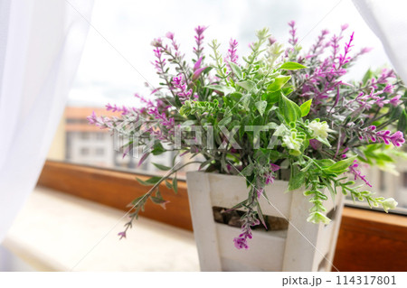Artificial plant purple flower on window sill 114317801