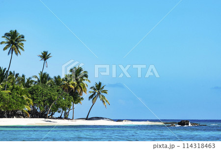 Tropical Beach in Catuano, Dominican Republic 114318463