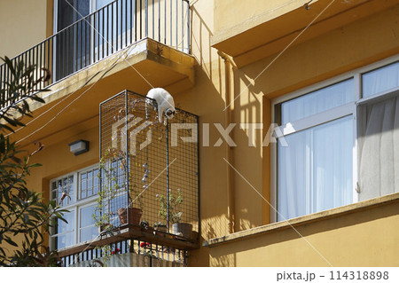 Daily life on the streets of Istanbul 114318898