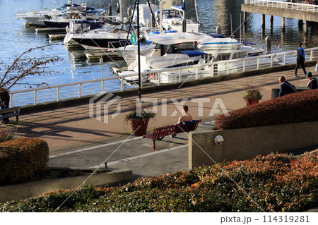 Waterfront of a downtown Vancouver, on a sunny autumn day Waterfront of a downtown Vancouver, on a sunny autumn day 114319281