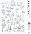 Ocean sea animal coral cartoon line 114319333