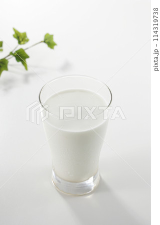 牛乳 ミルク 114319738