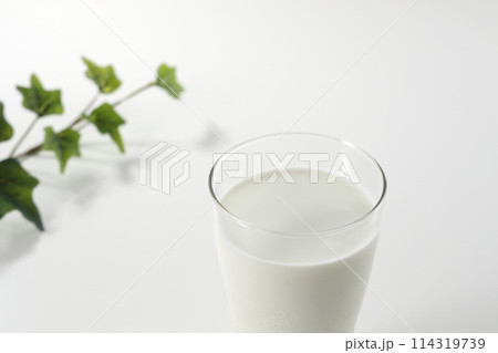 牛乳 ミルク 牛乳 ミルク 114319739
