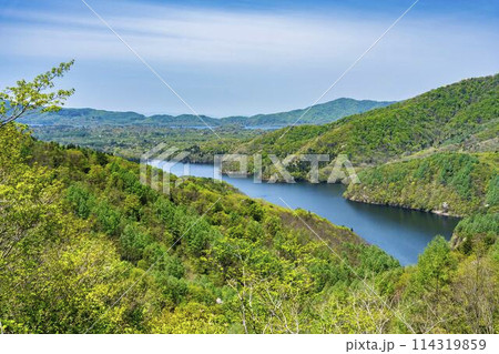 磐梯吾妻レークラインの三湖パラダイスから見た小野川湖と桧原湖 福島県北塩原村 磐梯吾妻レークラインの三湖パラダイスから見た小野川湖と桧原湖 福島県北塩原村 114319859