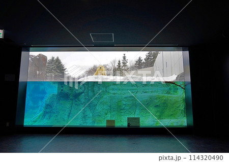 札幌市円山動物園 ホッキョクグマ館 114320490