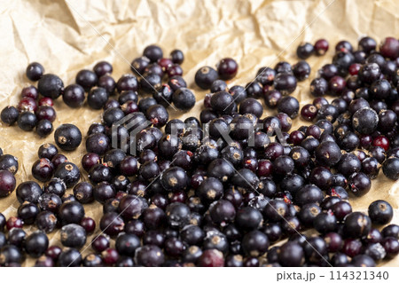 fresh frozen currants for long-term storage 114321340