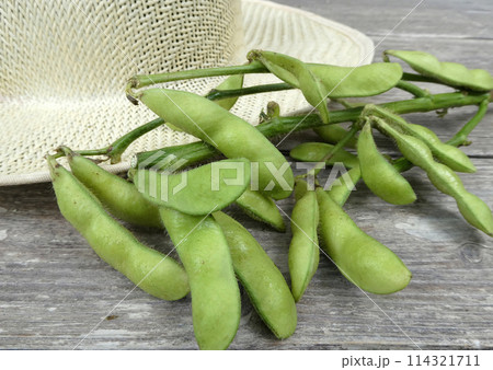 夏のビールのおつまみに！家庭菜園で収穫した枝豆の写真 114321711