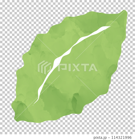 插圖素材葉樹植物水彩 114321996