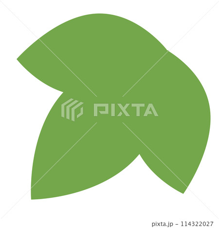 イラスト素材　葉　木　植物　手描き 114322027