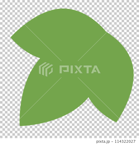 イラスト素材　葉　木　植物　手描き 114322027