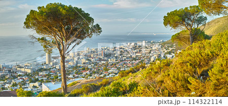 Cape Town, nature and adventure in South Africa for travel, journey and green with plants and trees. Landscape, sea and holiday or vacation for freedom, buildings and architecture for location Cape Town, nature and adventure in South Africa for travel, journey and green with plants and trees. Landscape, sea and holiday or vacation for freedom, buildings and architecture for location 114322114