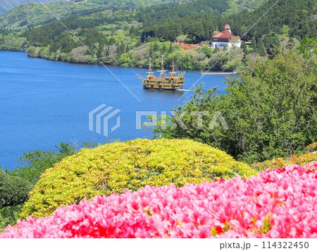神奈川県 初夏の恩賜箱根公園の景観(ツツジと海賊船) 5月 神奈川県 初夏の恩賜箱根公園の景観(ツツジと海賊船) 5月 114322450