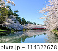 満開のソメイヨシノと青空 114322678