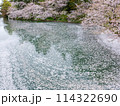 満開のソメイヨシノと青空 114322690