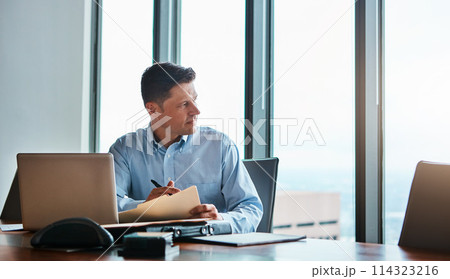 You have the power to make your dreams come true. a mature businessman working at his desk. 114323216
