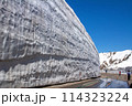 雪の大谷（立山黒部アルペンルート） 114323224