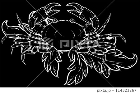 white silhouette of Crab isolated on black background. vector illustration white silhouette of Crab isolated on black background. vector illustration 114323267