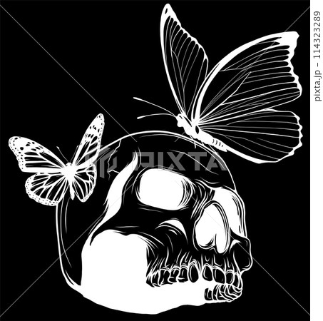 white silhouette of Skull with butterflys on black background. Vector illustration design white silhouette of Skull with butterflys on black background. Vector illustration design 114323289