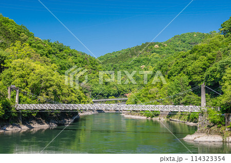 宇治川の吊り橋　天ケ瀬橋　京都府宇治市 114323354
