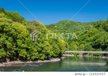 新緑の山峡 宇治川 天ケ瀬橋 京都府宇治市 新緑の山峡 宇治川 天ケ瀬橋 京都府宇治市 114323357