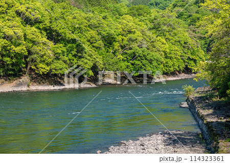 新緑の山峡 宇治川 京都府宇治市 新緑の山峡 宇治川 京都府宇治市 114323361