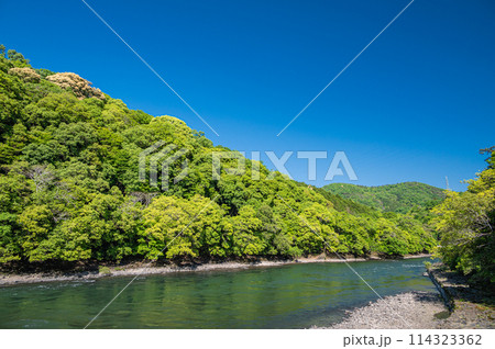 新緑の山峡　宇治川　京都府宇治市 114323362