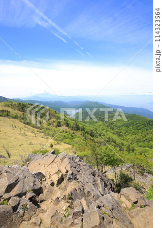 大菩薩峠から夏の空と富士山を眺める（日本 山梨県甲州市、北都留郡小菅村） 114323564