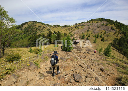 大菩薩峠における夏山登山（日本 山梨県甲州市、北都留郡小菅村） 114323566