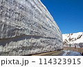 雪の大谷（立山黒部アルペンルート） 114323915