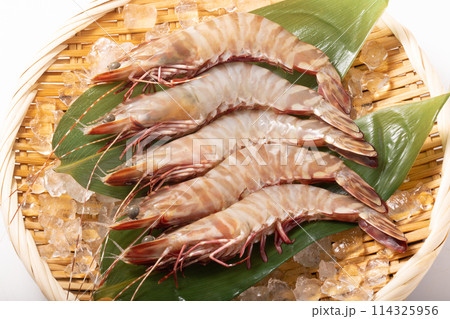［インドネシア産］天然　有頭海老 114325956